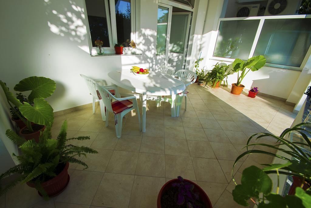 Apartmani I Sobe Grga Starigrad Paklenica Eksteriør billede
